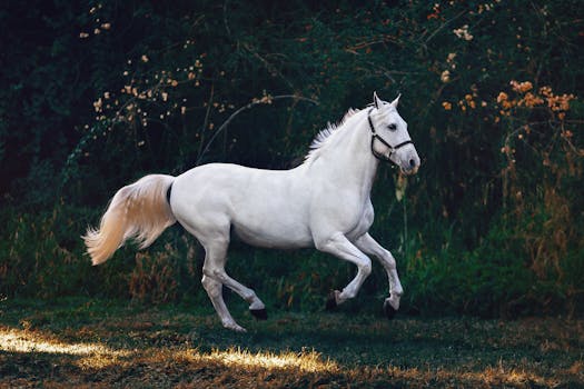 A majestic white animal horse gallops gracefully through a lush green landscape.